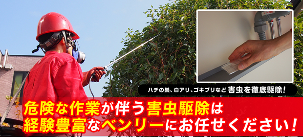 害虫駆除